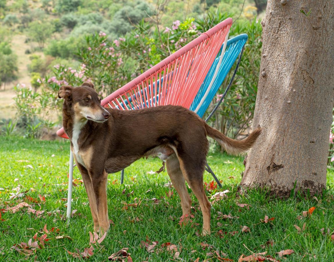Finca Las Hierbas B&B Алора Екстериор снимка