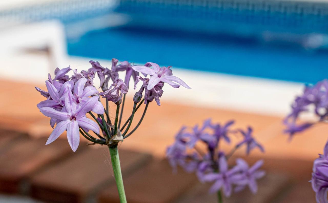 Finca Las Hierbas B&B Алора Екстериор снимка