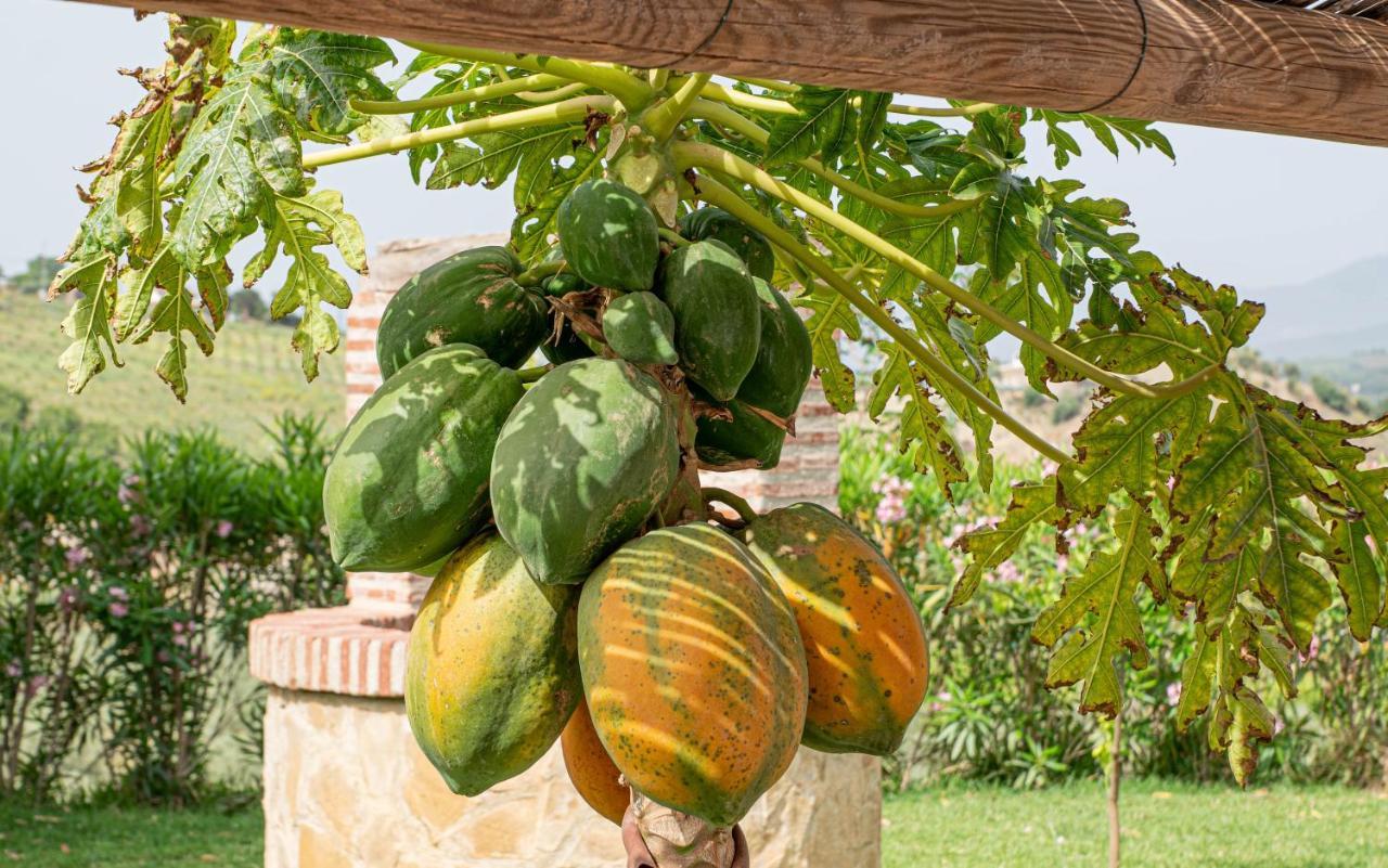 Finca Las Hierbas B&B Алора Екстериор снимка